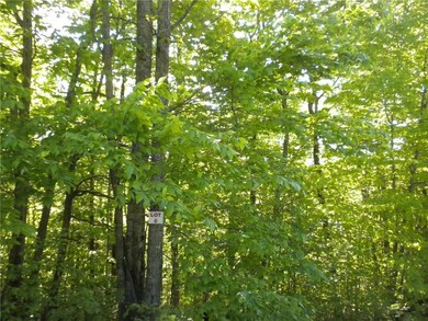 169 Beaver Dam Rd, New Gloucester, ME 04260 - photo 3