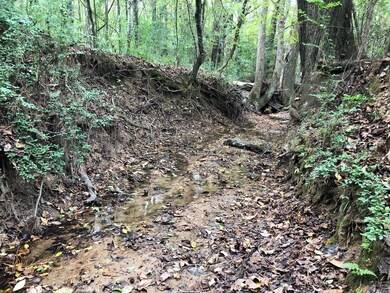 81.15 ac U S 59, Nacogdoches, TX 75965 - photo 4