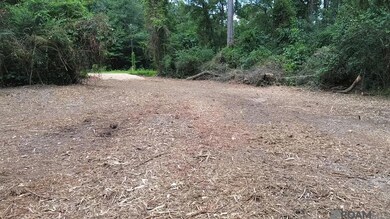 Tract A John D Wood Rd, Franklinton, LA 70438 - photo 5