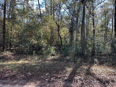 0 County Road 3612 unit 93554051, Navasota, TX 77372 - photo 4