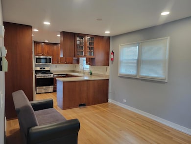 1001 E Callero Cir unit 1, Mount Prospect, IL 60056 - photo 6