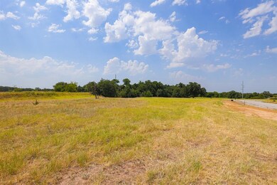 13 Aslan Rd, Poolville, TX 76487 - photo 6