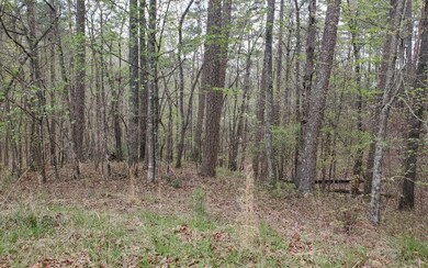 Additional View