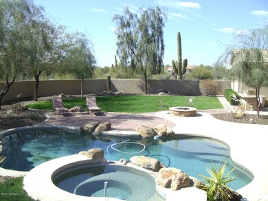 backyard elevated