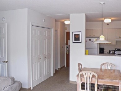 28 Packard Rd unit 302, Waterville Valley, NH 03215 - photo 6