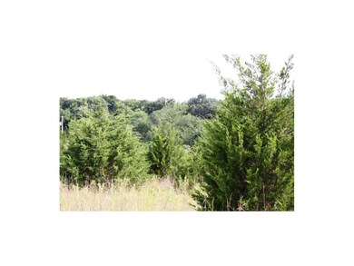 Trees, Trees and more Trees.