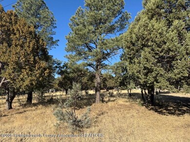 Cougar lot 26