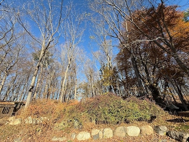 3 Laurel Place, Amesbury, MA 01913 - photo 2