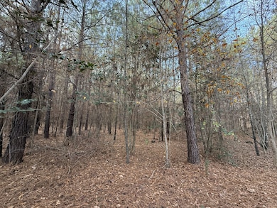 35895 Nc Hwy 561, Hollister, NC 27844 - photo 5