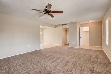 0005-Tumblewood - 10254 (5)