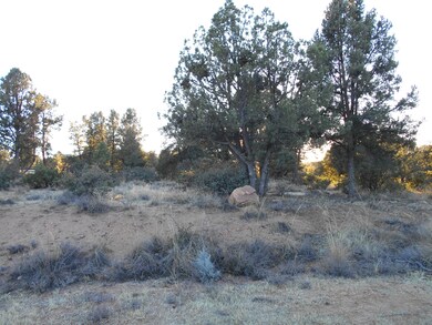 Lot 5