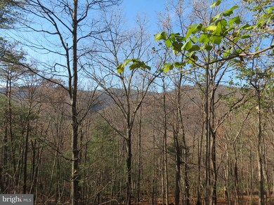 67 Briar Ridge Ln, Sperryville, VA 22740 - photo 3