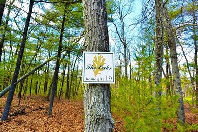 19 Oak Trail, Bolton, MA 01740 - photo 3