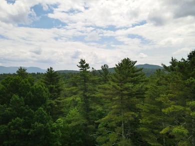 0 Marshall Phillips Rd unit 24033421, Brandon, VT 05733 - photo 2