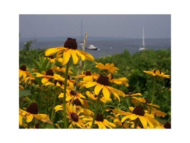 426 E Shore Rd, Jamestown, RI 02835 - photo 6