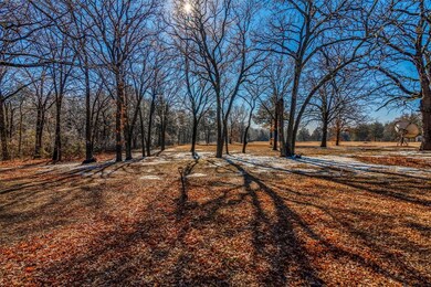 790 Saddle Tree Ln, Denison, TX 75021 - photo 4