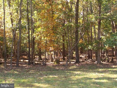 6501 Union Mill Rd, Clifton, VA 20124 - photo 5