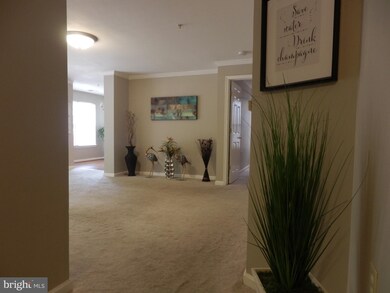 125 Timberbrook Ln unit 101, Gaithersburg, MD 20878 - photo 6