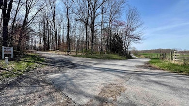 off W Side Buffalo Trace Rd, Jackson Township, IN 47165 - photo 5