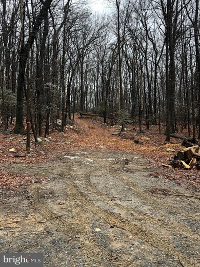 0 Etzler Rd unit MDFR2014238, Frederick, MD 21702 - photo 7