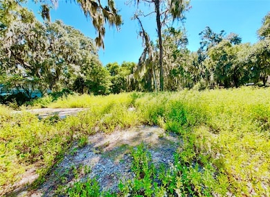 1334 Azalea Rd NE, Townsend, GA 31331 - photo 7