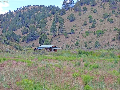 12142 Burns-Izee Rd, Seneca, OR 97873 - photo 6