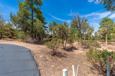 1020 N Indian Paintbrush Cir, 04-21 - 03