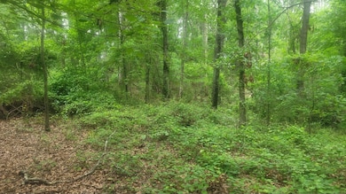 1429 Casey Creek Rd, Chesnee, SC 29323 - photo 4