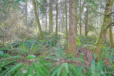 Street View off road connecting to Amber View (no name)