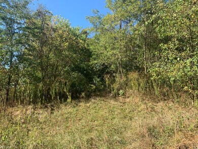 00 Floral Dr, Wheeling, WV 26003 - photo 7