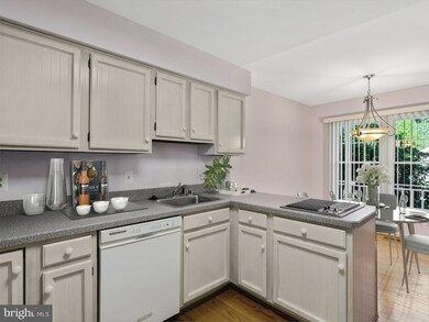 12213 Tildenwood Dr, Rockville, MD 20852 - photo 3