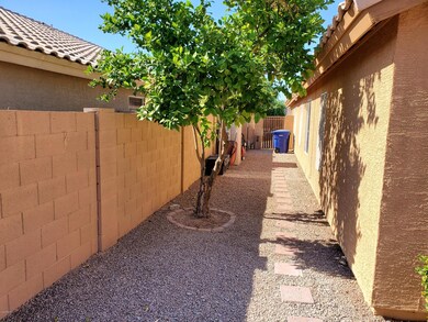 Back yard