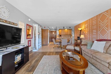 314 N Tamarron Dr unit 203, Durango, CO 81301 - photo 7