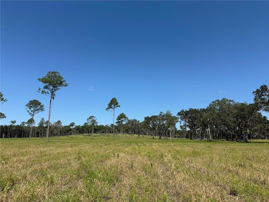 DR #8 (10ac) NW 193rd St, Micanopy, FL 32667 - photo 4