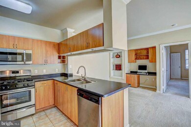 13500 Derry Glen Ct unit 202, Germantown, MD 20874 - photo 2