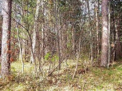 0 Hwy A unit 4662381, Webster, WI 54893 - photo 4