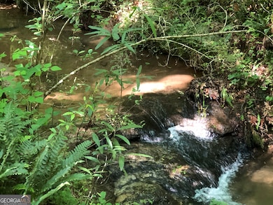 0 E Deer Run Trail unit 10651119, Lavonia, GA 30553 - photo 3