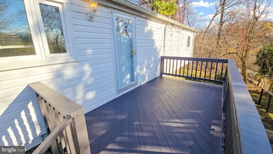 1009 Flagtree Ln, Pikesville, MD 21208 - photo 3