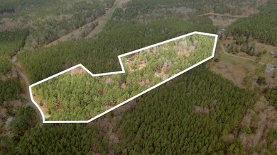 1724 Lutterloh Rd, Pittsboro, NC 27312 - photo 4