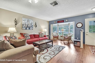 6517 Ocean Pines Ln, Spring Hill, FL 34606 - photo 4