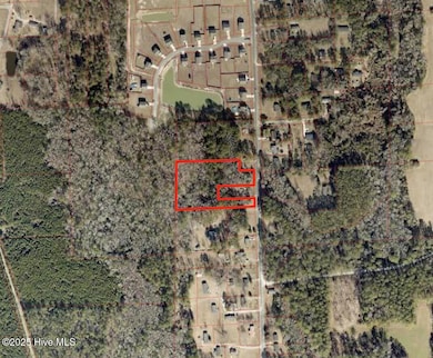 820 Perrytown Rd, New Bern, NC 28562 - photo 4