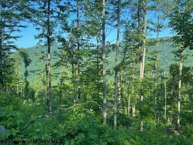 TBD Cheat Valley Hwy, Parsons, WV 26287 - photo 6