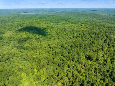 0 Parrish Rd, Linden, TN 37096 - photo 7