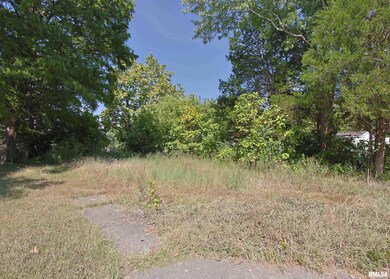 123 E Pulley St, Hurst, IL 62959 - photo 4