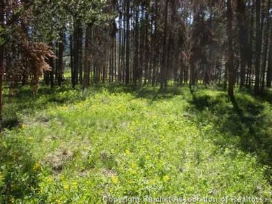 Land/Lot.