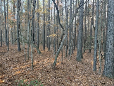 Lot 12B Woods Rd, Seagrove, NC 27341 - photo 5