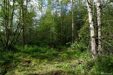 2020 394th St S, Roy, WA 98580 - photo 7