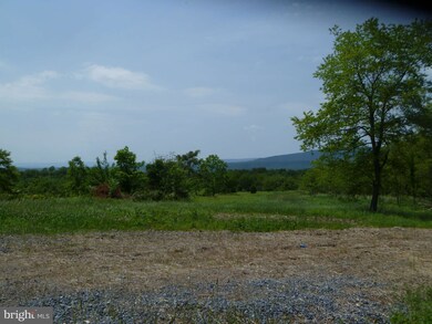 0 Magnolia unit 1000168213, Paw Paw, WV 25434 - photo 5