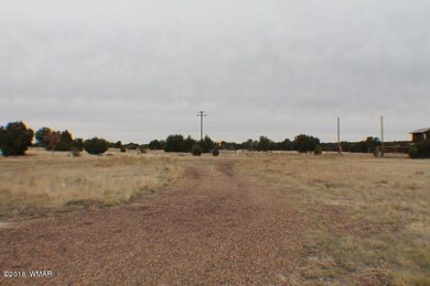 1397 Bourdon Ranch Rd, Show Low, AZ 85901 - photo 7