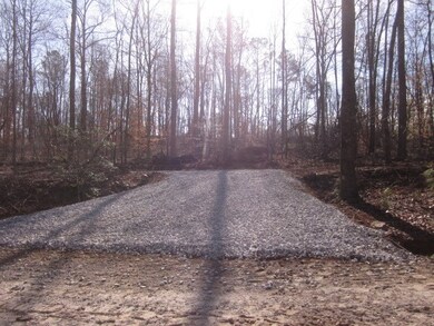 0 Bear Creek Rd unit 414593, Talking Rock, GA 30175 - photo 3